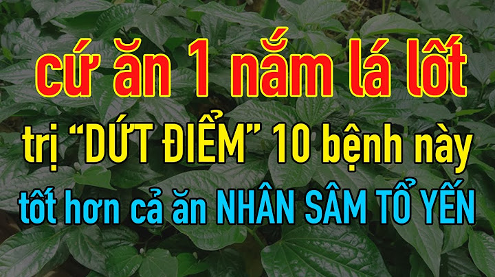 Một số loại thuốc bào chế từ hóa chất năm 2024