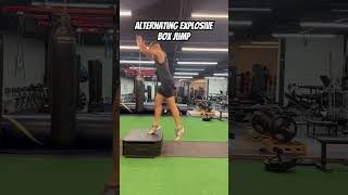 Famous Alternating Explosive Box Jump Wealth