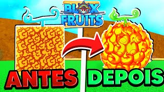 USEI AS 2 NOVAS FRUTAS DA NOVA UPDATE 17.3 DO BLOX FRUITS