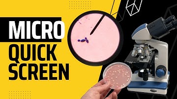 Quick Screen for Liquid Cultures in Mycology