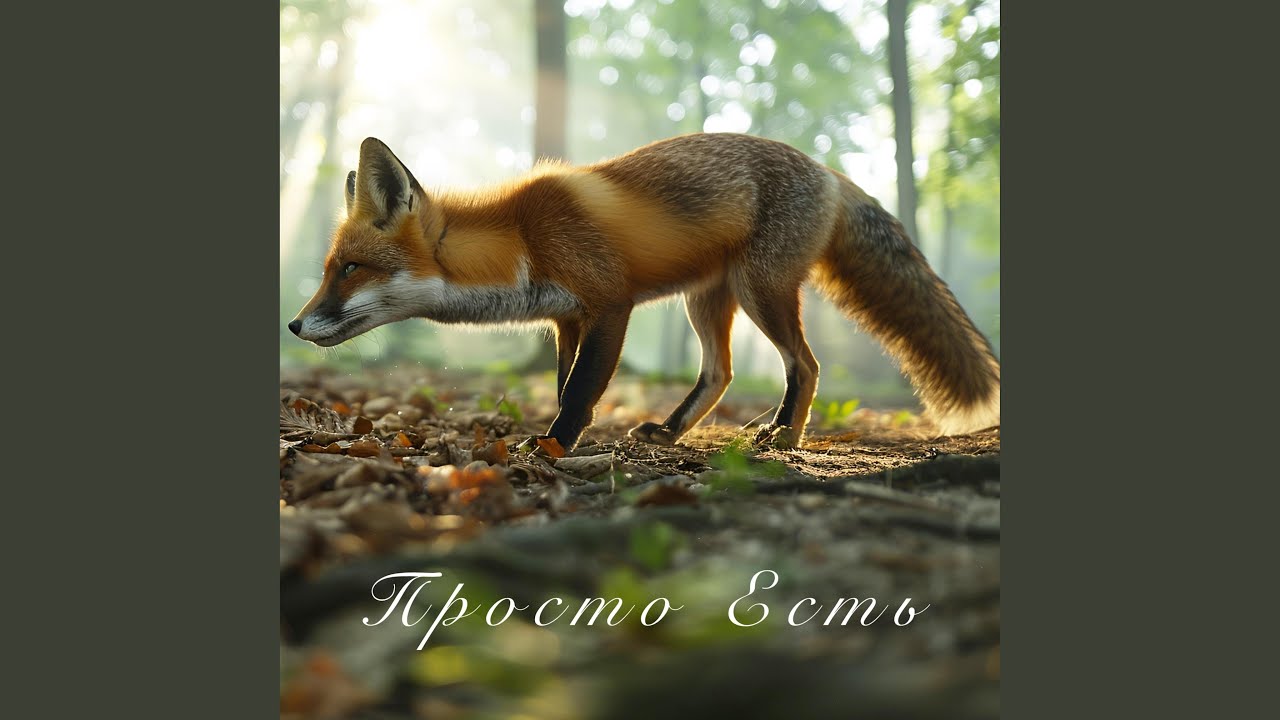 Просто Есть