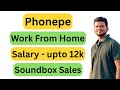 Phonepe | Work From Home | Speaker Sales | BDE | Soundbox | Remote Jobs | Pintu WFH
