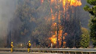 Extreme Wildfires: Larger, Faster, Unpredictable