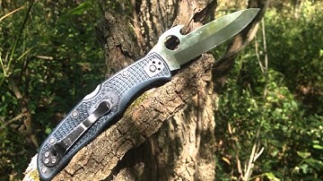 Spyderco Endura wave