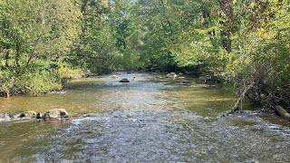 Creek Fishing For ANYTHING - Surprising Results! by ThreeAnglers Fishing&Hunting 320 views 8 months ago 7 minutes, 4 seconds