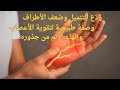 ود ع التنميل وضعف الأطراف وصفة طبيعية لتقوية الأعصاب وإنهاء الألم من جذوره 