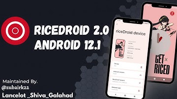 Review New Custom ROM RiceDroid OS 2.0 Android 12.1 Redmi 9 | Poco M2