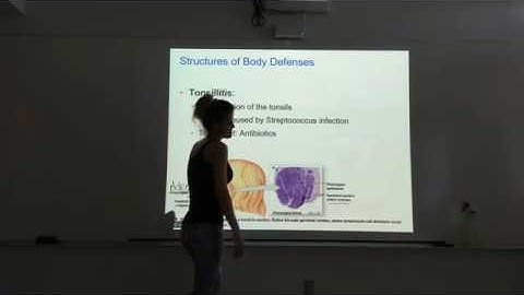 The Lymphatic System and Immunity Part 2.1