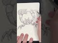 ASMR Sketch Prompt 2: CRABCORE