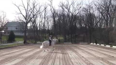 Paul and Excelso Demonstrate One Tempi Flying Changes at Lost Hollow Farm