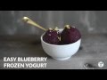 Blueberry Frozen Yogurt