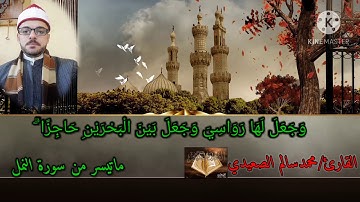 الشيخ محمدسالم الصعيدي وبكاء مرعب من  سورة النمل