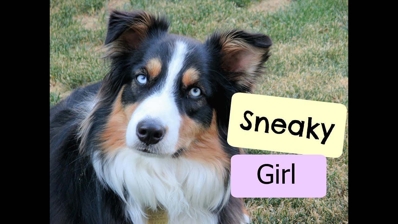 summertime blues What a Sneaky Girl - Day in the Life | Episode 3