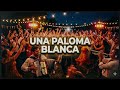 Una Paloma Blanca (Weselny Hit 2026) – Dance Majster
