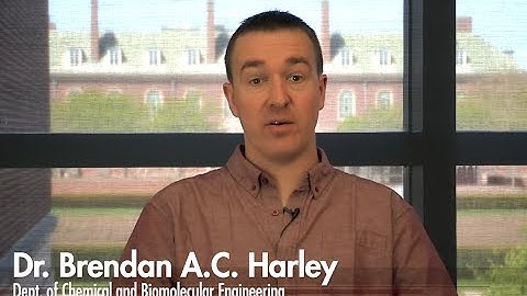 B&B: The induction of pro-angiogenic processes within an endometrial inspired collagen scaffold