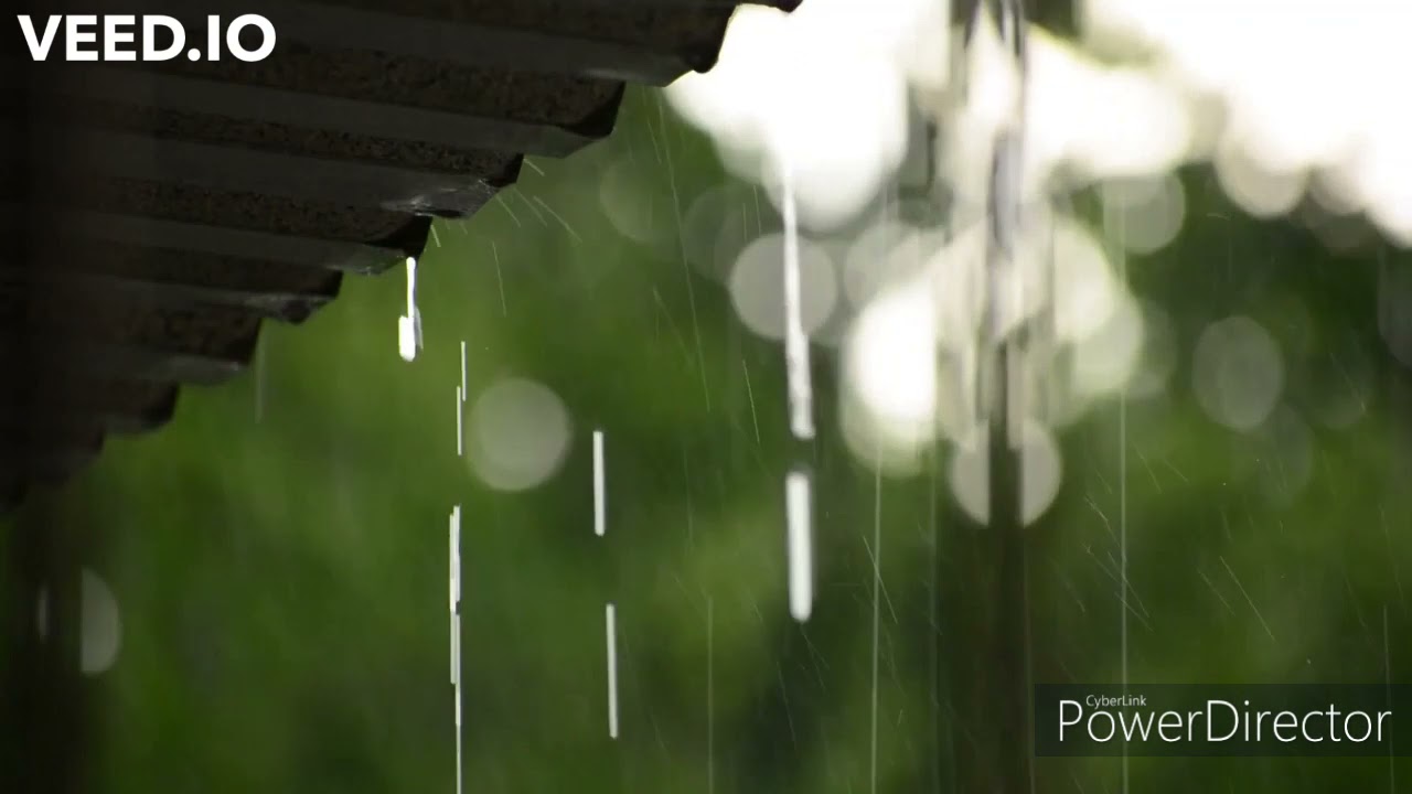 Bird and rain calming sounds for meditation and study session