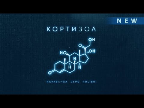 Kavabanga Depo Kolibri - Кортизол