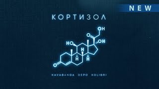 kavabanga Depo kolibri - Коризол (Новинка 2024🎧)