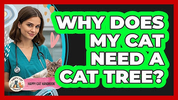 Why Does My Cat Need A Cat Tree? - Happy Cat Handbook