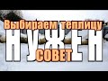 457_Выбираю теплицу. Нужен совет