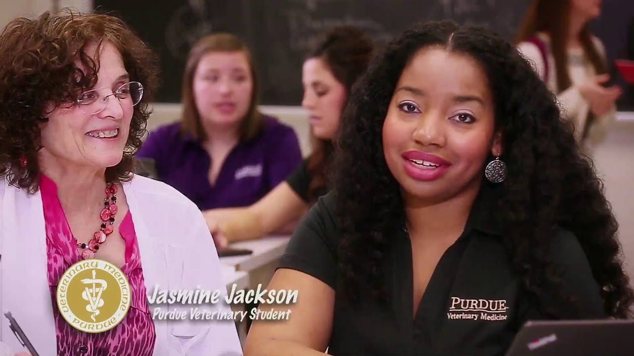 Purdue University College of Veterinary Medicine (PVM) Info Video