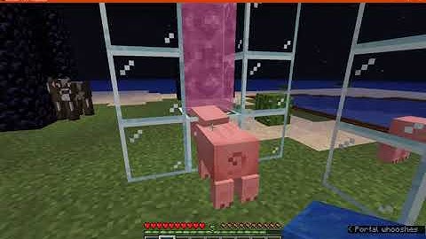 Custom Portals 1.16.3 Fabric Mod Overview