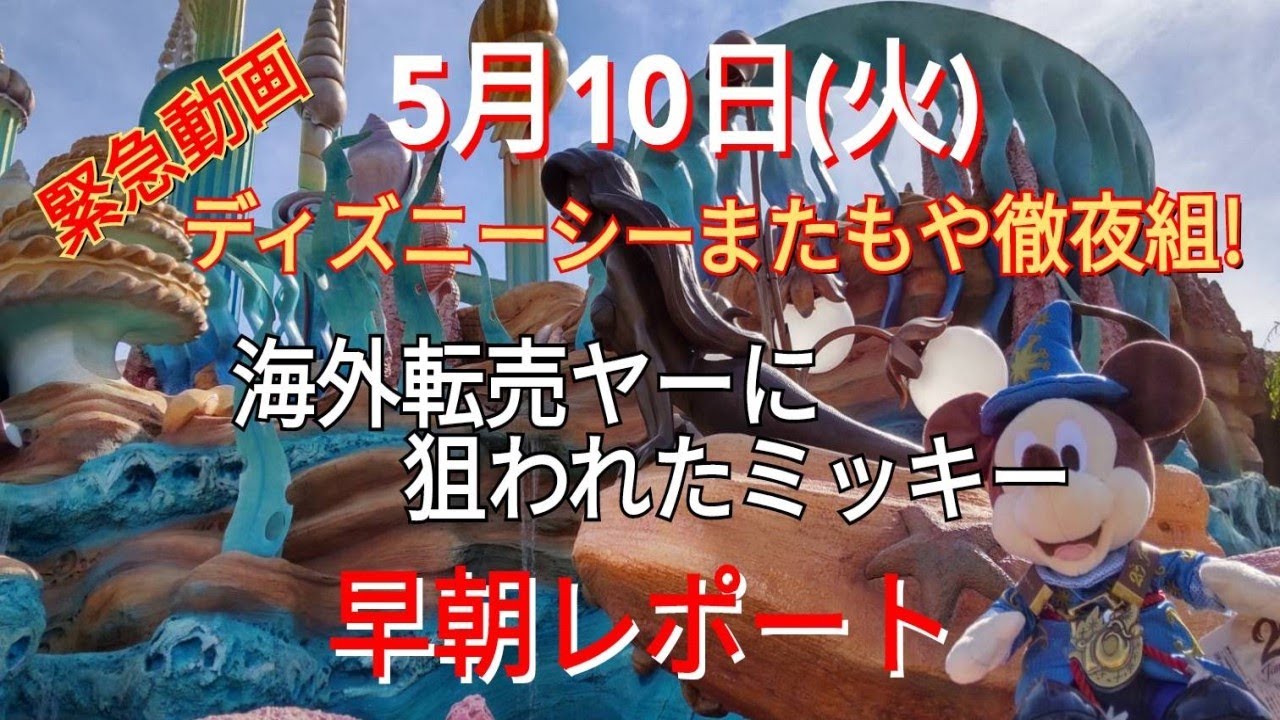 5月10日 火 ディズニーシー 緊急動画 またもや徹夜組 海外転売ヤーに狙われたミッキー 早朝からレポート致します 気ままに大人ディズニー Youtube 5月10日 火 ディズニーシー 緊急動画 またもや徹夜組 海外転売ヤーに狙われたミッキー 早朝からレポート致します 気ままに大人ディズニー Youtube