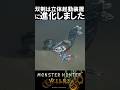 双剣は立体起動装置に進化を遂げました　　　　　　　モンハンワイルズ魅せプ【MHWs】Monster Hunter Wilds　＃shorts＃MHWs＃モンハンワイルズ
