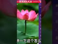 2025年5月15日