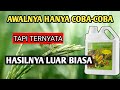 👏🏻😊LUAR BIASAAAA...BERAWAL KARENA COBA-COBA TERNYATA HASILNYA LUAR BIASA😍
