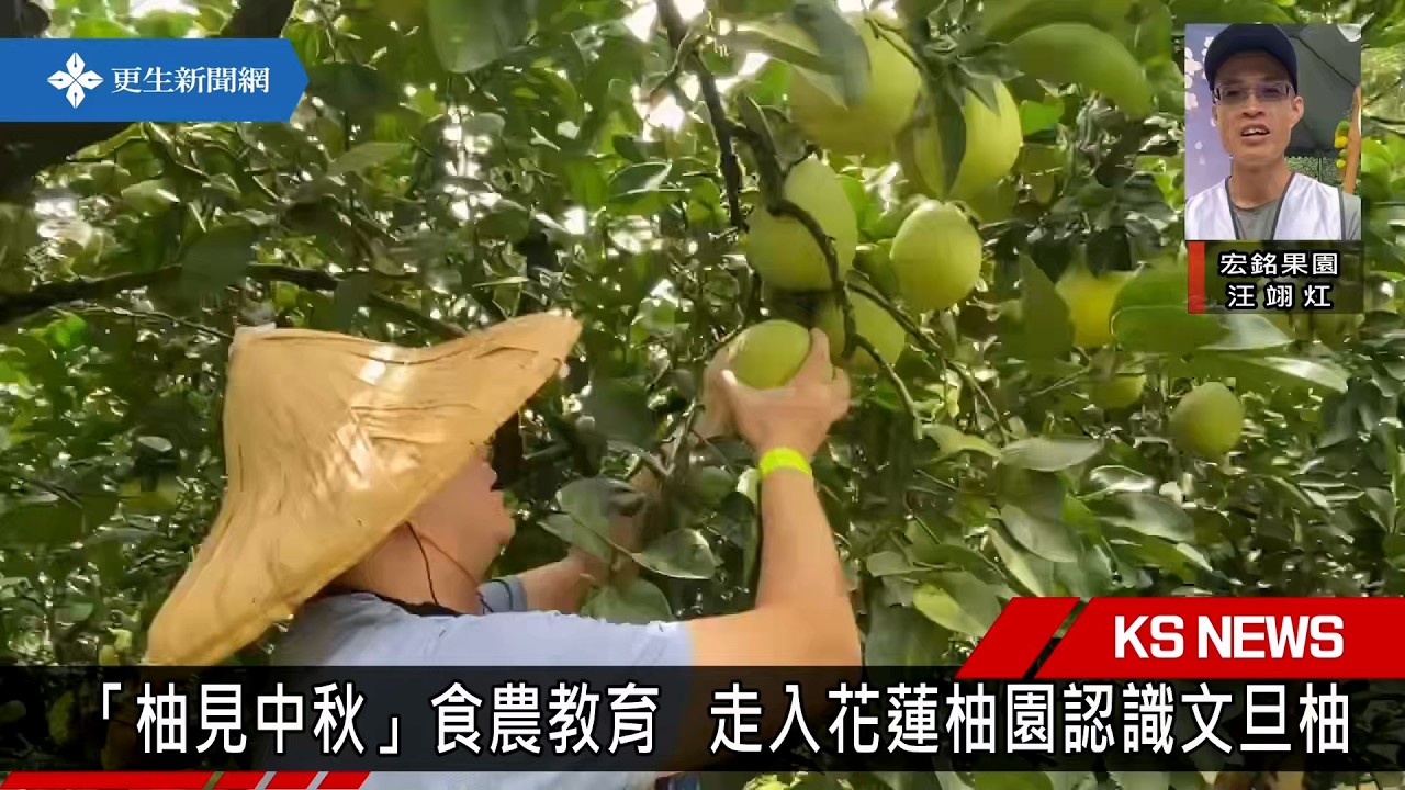 「柚見中秋」食農教育  走入柚園認識文旦柚 縮圖