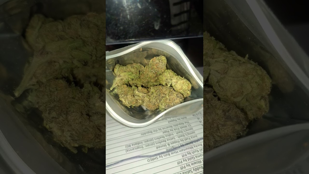 Friends sharing their purchases at Grassroots... and some of my backyard plants. 