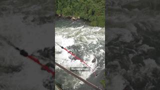 Bungee jumping above the mighty Nile