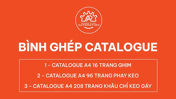 Insoft Automation : Bình CATALOGUE siêu đơn giản