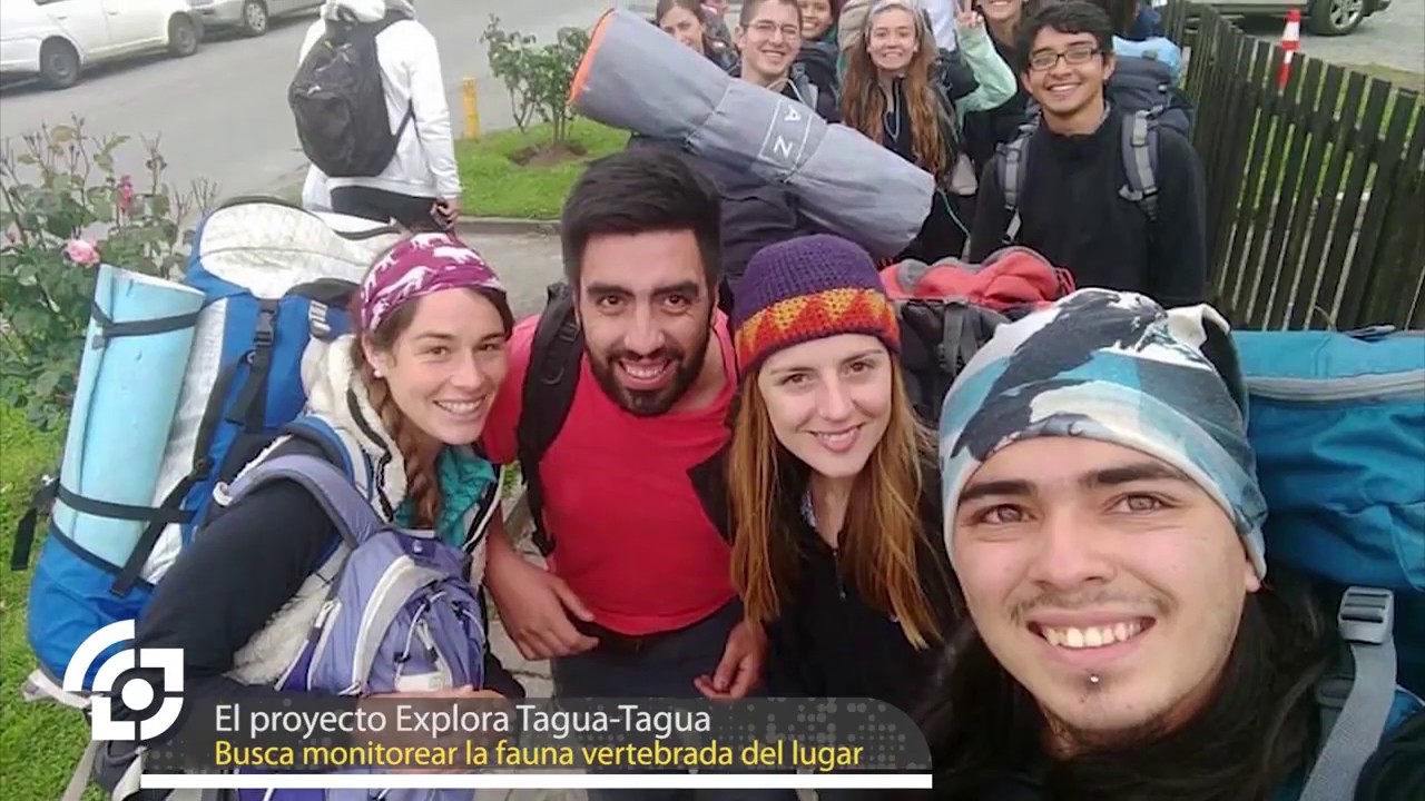 Explora Tagua Tagua Un proyecto de conservación silvestre en la Región de Los Lagos, Chile