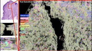 AI Driven 3D Molecular Modeling
