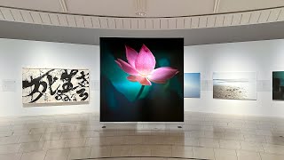 祈り・藤原新也 | レポート | アイエム［インターネットミュージアム］