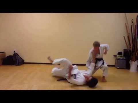 Roundhouse Kick Takedown (Technique of the Week 40)