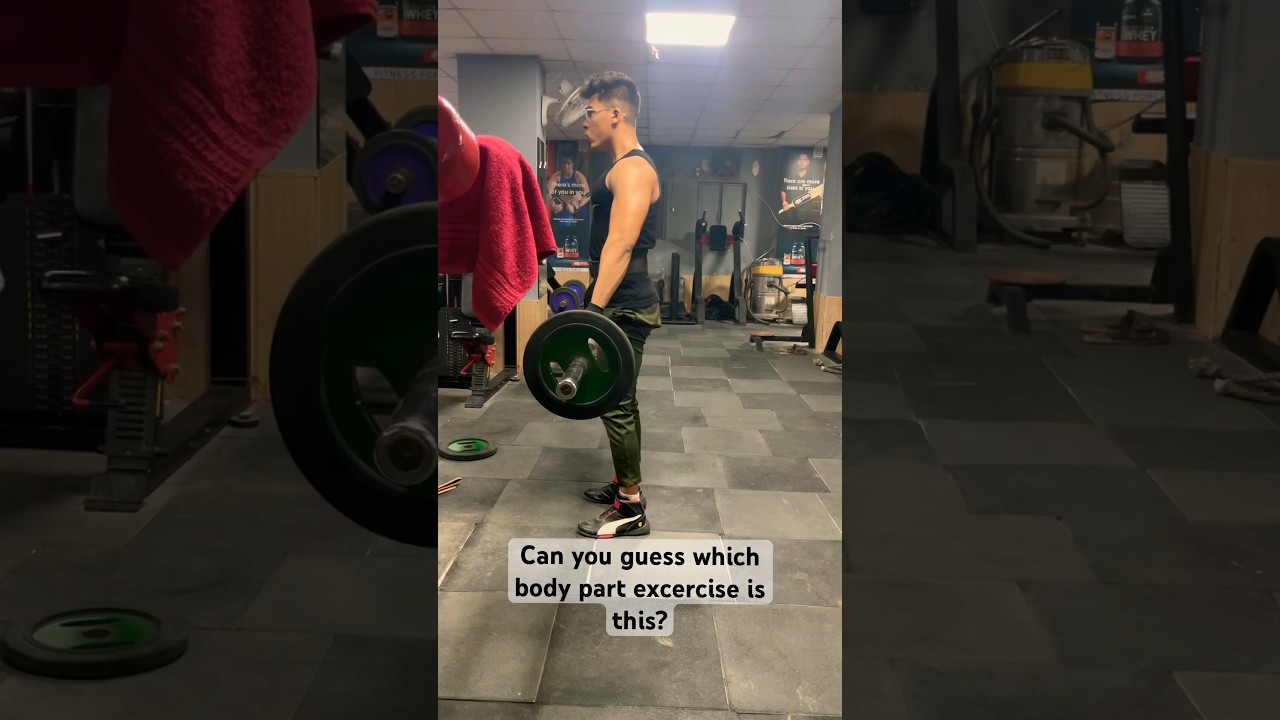 Shoulder Exercise | Rear Head | Bodybuilding  