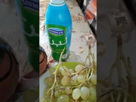 طعام مسفوف الزبيب