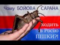 Чому українська бойова сарана ходить в Росію ПІШКИ?!!