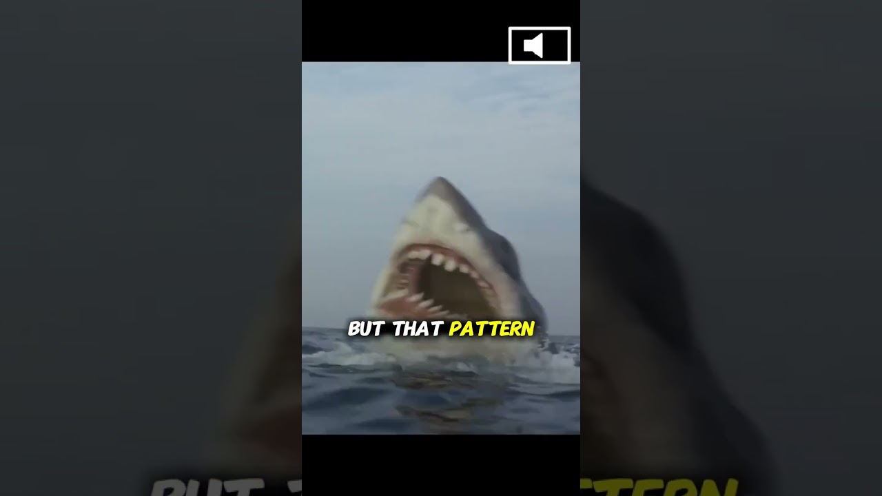 Спилберг смеялся над ним… Пока «Две ноты» не вошли в историю кино 