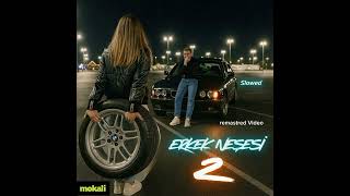 Erkek Neşesi 2 - SLOWED