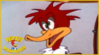 43:36 Woody Woodpecker | Smoked Hams | Woody Woodpecker Full Episode | Old Cartoons|Videos for Kids