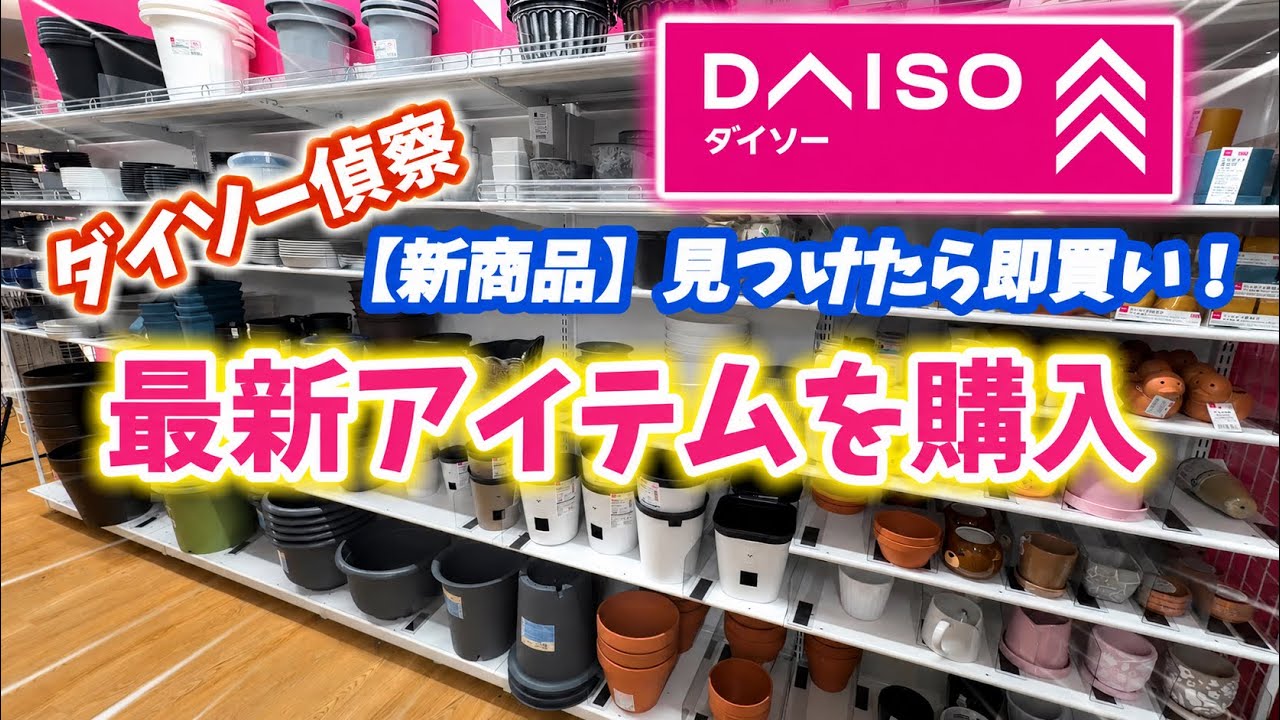 【ダイソー偵察】最新商品、見つけたので即買い! #ダイソー #daiso #観葉植物