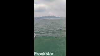 Drifting & Mooring Wave Buoy Sea Test