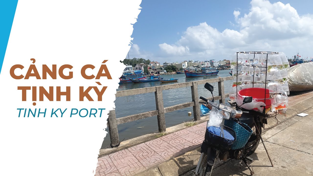Một Góc Cảng Cá Tịnh Kỳ | A Corner of Tinh Ky Fishing Port