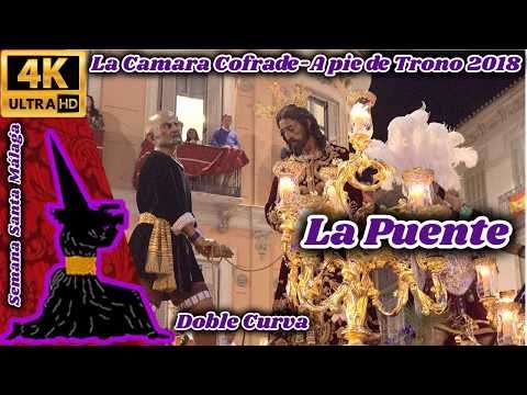 Real, Muy Ilustre, Venerable y Antigua Hermandad y Cofradía de Nazarenos de Nuestro Padre Jesús de la Puente del Cedrón y María Santísima de la Paloma