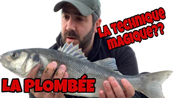 Comment pêcher à la Plombee ?