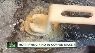 Horrifying Find In Coffee Maker Horrifying Find In Coffee Maker